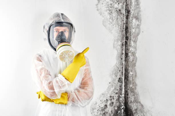 Biohazard Mold Removal in Chittenango, NY