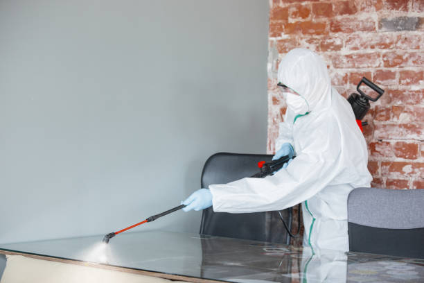 Why You Should Choose Our Mold Remediation Services in Chittenango, NY